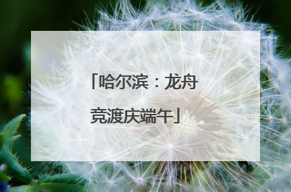 哈尔滨：龙舟竞渡庆端午