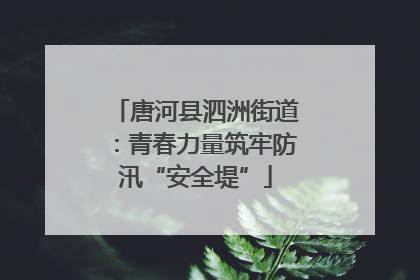 唐河县泗洲街道：青春力量筑牢防汛“安全堤”
