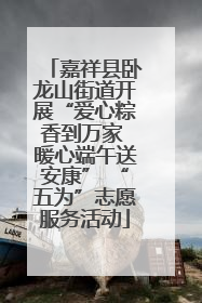 嘉祥县卧龙山街道开展“爱心粽香到万家 暖心端午送安康” “五为”志愿服务活动