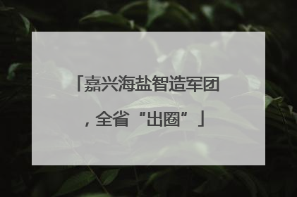 嘉兴海盐智造军团，全省“出圈”