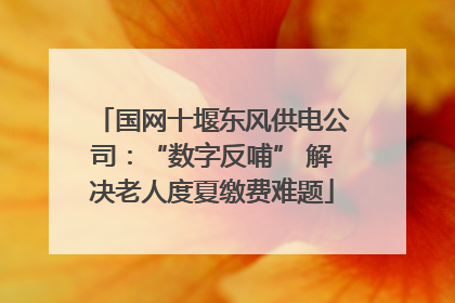 国网十堰东风供电公司：“数字反哺” 解决老人度夏缴费难题