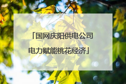 国网庆阳供电公司电力赋能桃花经济