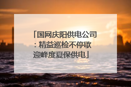 国网庆阳供电公司：精益巡检不停歇 迎峰度夏保供电