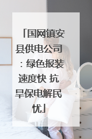 国网镇安县供电公司：绿色报装速度快 抗旱保电解民忧