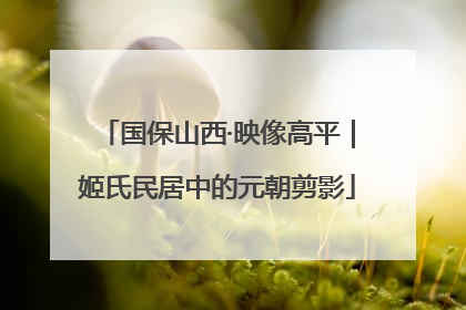 国保山西·映像高平｜姬氏民居中的元朝剪影
