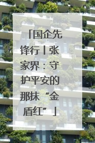 国企先锋行丨张家界：守护平安的那抹“金盾红”