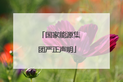 国家能源集团严正声明