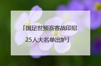 国足世预赛客战印尼25人大名单出炉