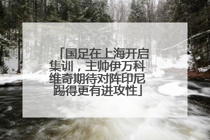 国足在上海开启集训，主帅伊万科维奇期待对阵印尼踢得更有进攻性
