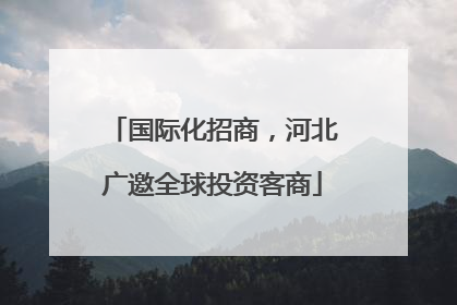 国际化招商，河北广邀全球投资客商