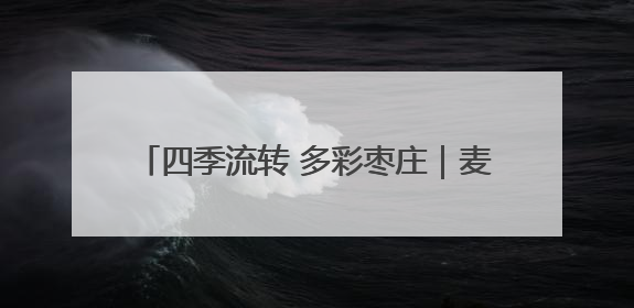 四季流转 多彩枣庄｜麦香染夏，来听枣地丰歌