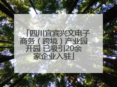 四川宜宾兴文电子商务（跨境）产业园开园 已吸引20余家企业入驻