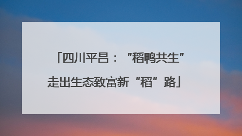 四川平昌：“稻鸭共生”走出生态致富新“稻”路