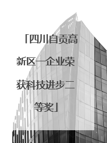 四川自贡高新区一企业荣获科技进步二等奖