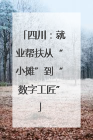 四川：就业帮扶从“小摊”到“数字工匠”