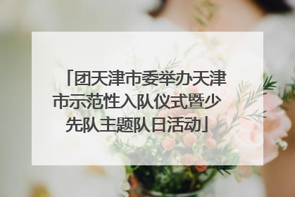 团天津市委举办天津市示范性入队仪式暨少先队主题队日活动