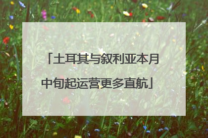 土耳其与叙利亚本月中旬起运营更多直航