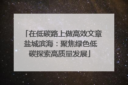 在低碳路上做高效文章 盐城滨海：聚焦绿色低碳探索高质量发展