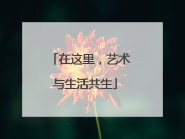 在这里，艺术与生活共生