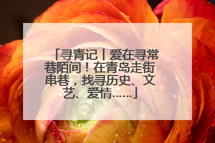 寻青记丨爱在寻常巷陌间！在青岛走街串巷，找寻历史、文艺、爱情……