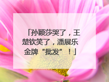 孙颖莎哭了，王楚钦笑了，潘展乐金牌“批发”！