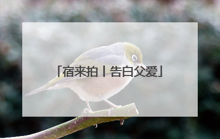 宿来拍丨告白父爱