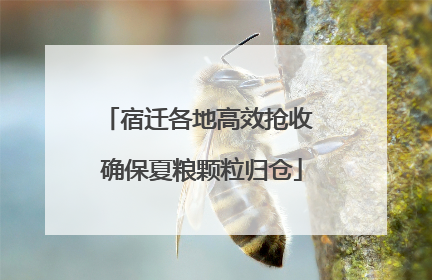 宿迁各地高效抢收 确保夏粮颗粒归仓
