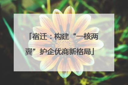 宿迁：构建“一核两翼”护企优商新格局