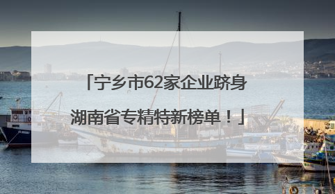 宁乡市62家企业跻身湖南省专精特新榜单！
