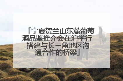宁夏贺兰山东麓葡萄酒品鉴推介会在沪举行 搭建与长三角地区沟通合作的桥梁