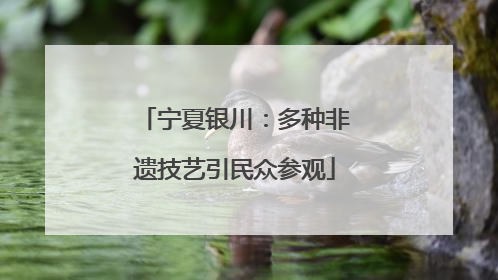宁夏银川：多种非遗技艺引民众参观
