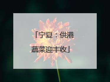 宁夏：供港蔬菜迎丰收