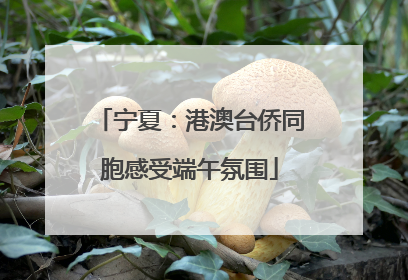 宁夏：港澳台侨同胞感受端午氛围