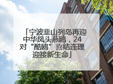 宁波韭山列岛再迎中华凤头燕鸥，24对“酷鸥”喜结连理迎接新生命