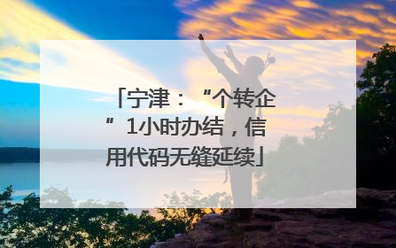 宁津：“个转企”1小时办结，信用代码无缝延续