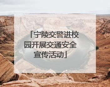 宁陵交警进校园开展交通安全宣传活动