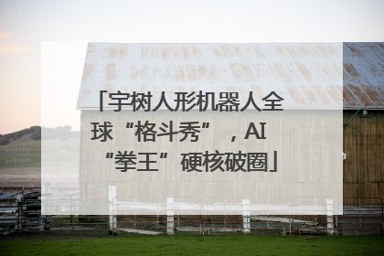 宇树人形机器人全球“格斗秀”，AI“拳王”硬核破圈