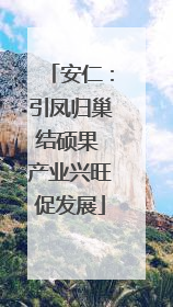 安仁：引凤归巢结硕果 产业兴旺促发展