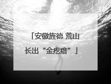 安徽旌德 荒山长出“金疙瘩”