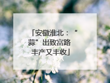 安徽淮北：“蒜”出致富路 丰产又丰收