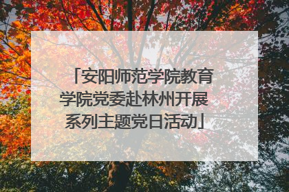 安阳师范学院教育学院党委赴林州开展系列主题党日活动