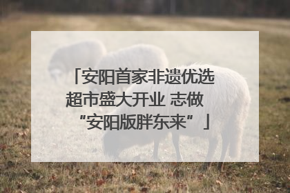 安阳首家非遗优选超市盛大开业 志做“安阳版胖东来”