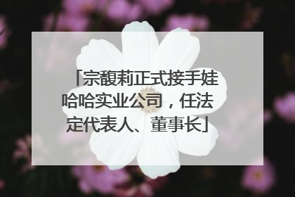 宗馥莉正式接手娃哈哈实业公司，任法定代表人、董事长