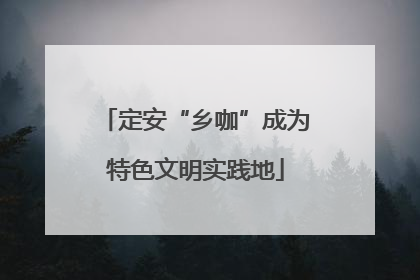 定安“乡咖”成为特色文明实践地