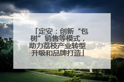 定安：创新“包树”销售等模式，助力荔枝产业转型升级和品牌打造