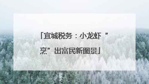 宜城税务：小龙虾“烹”出富民新图景