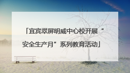 宜宾翠屏明威中心校开展“安全生产月”系列教育活动