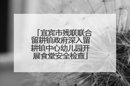 宜宾市残联联合留耕镇政府深入留耕镇中心幼儿园开展食堂安全检查