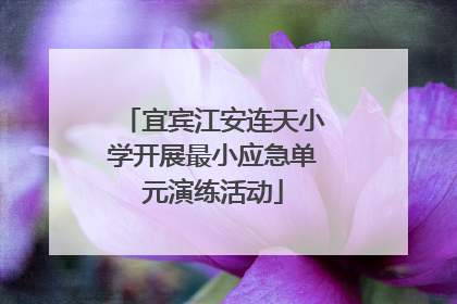 宜宾江安连天小学开展最小应急单元演练活动