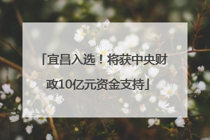 宜昌入选！将获中央财政10亿元资金支持